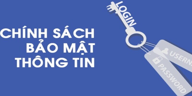 Quản lý dữ liệu bình luận và đánh giá